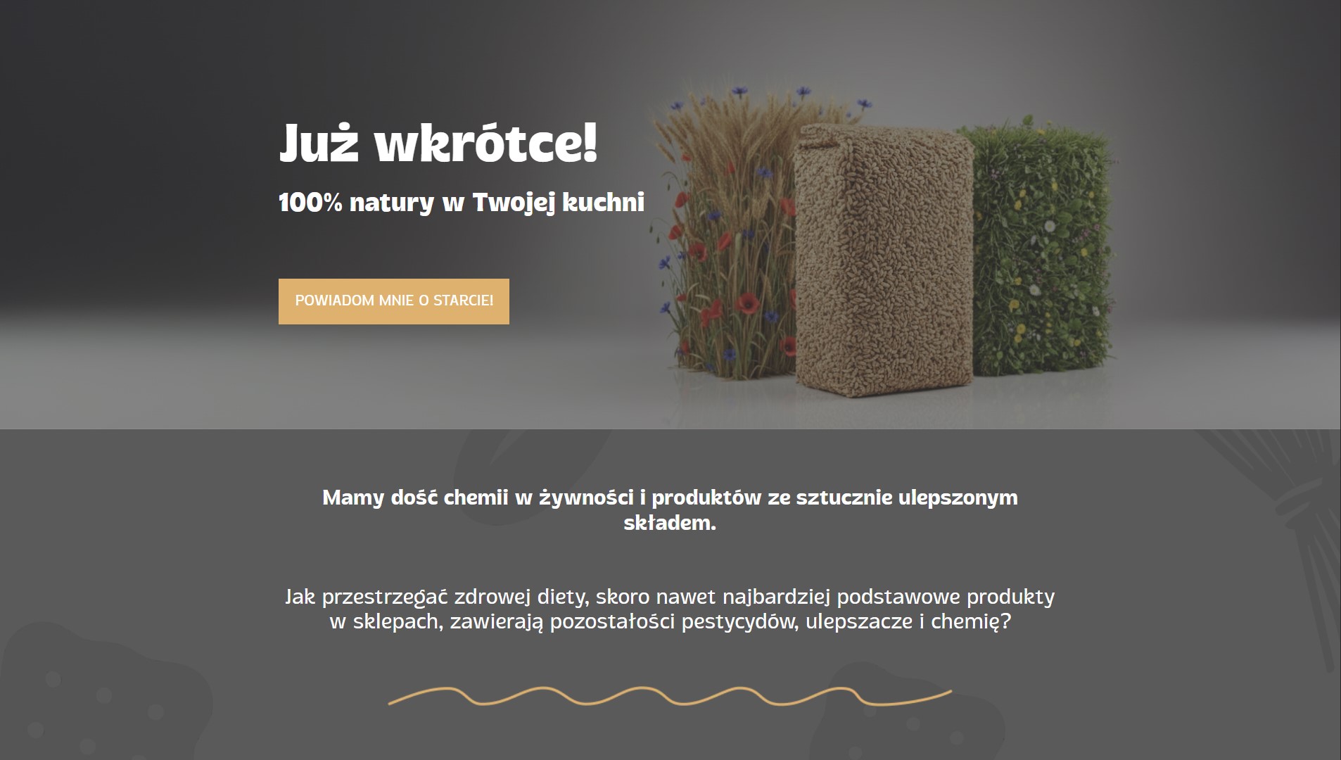 strona zdrowywybor.mlynleczyca.pl